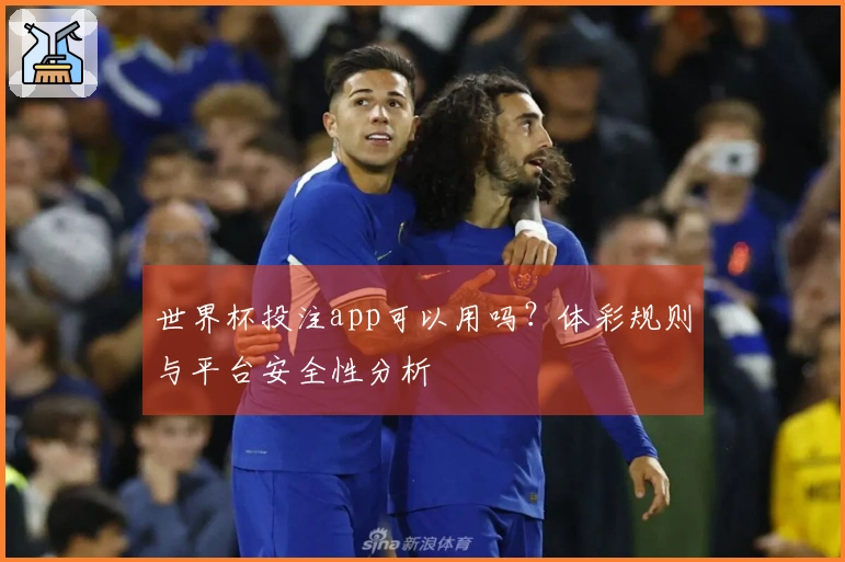 世界杯投注app可以用吗？体彩规则与平台安全性分析