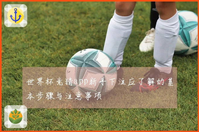 世界杯竞猜app新手下注应了解的基本步骤与注意事项