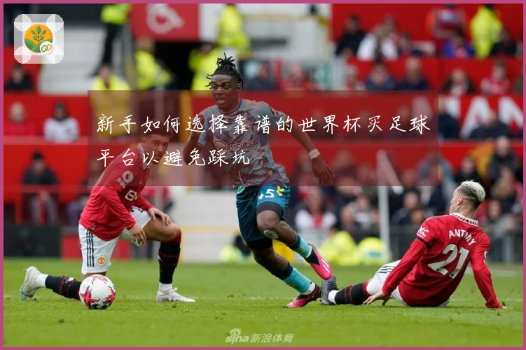新手如何选择靠谱的世界杯买足球平台以避免踩坑