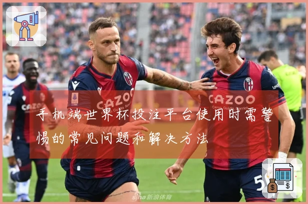 手机端世界杯投注平台使用时需警惕的常见问题和解决方法